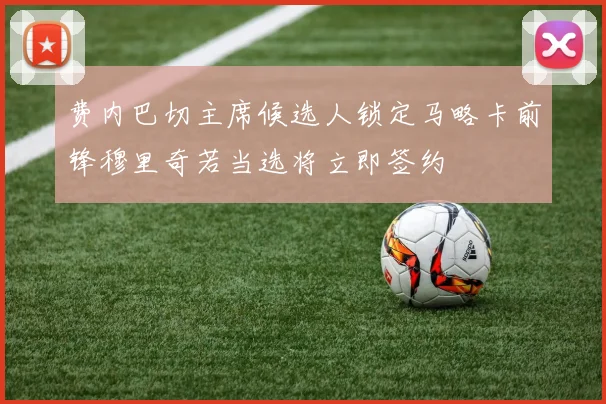 费内巴切主席候选人锁定马略卡前锋穆里奇若当选将立即签约